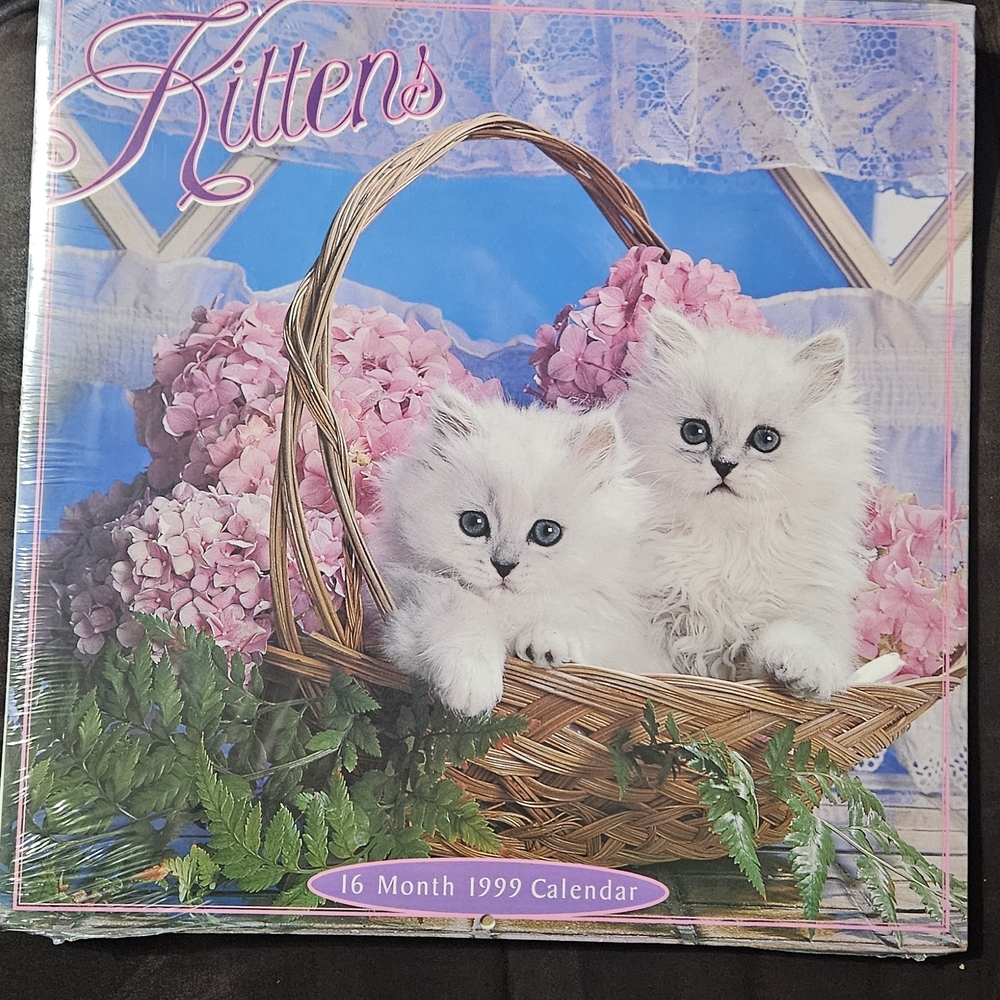 Vintage Adorable Kittens 16 Month 1999 Calendar. Never Opened